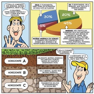Matéria orgânica (ou húmus):
é formada por plantas e
animais que morrem e se
transformam em nutrientes.
Ar: é responsável pela
aeração, que facilita o
desenvolvimento
das raízes
Abundante matéria orgânica
decomposta (húmus).
raízes de plantas e
organismos vivos.
Solo mineral quase sem
matéria orgânica.
fragmentos soltos
da desagregação
da rocha-mãe.
Água: é fundamental
para levar os nutrientes
do solo até as plantas.
C
HORIZONTE
HORIZONTE
HORIZONTE
A
B
Minerais: são partículas
formadas pela decomposição
das rochas que geram os
torrões de terra. São
responsáveis pela textura
(argilosa ou arenosa) e pelo
fornecimento de
nutrientes (fósforo, potássio,
nitrogênio e outros).
30%
20%
45%
5%
o solo é formado
por camadas ou
horizontes.
O Horizonte “A” é
onde plantamos. É a
parte mais fértil.
O solo é composto
por minerais, matéria
orgânica, água e ar.
o equilíbrio
entre essas partes é o
que o torna bom para
produzir.
 