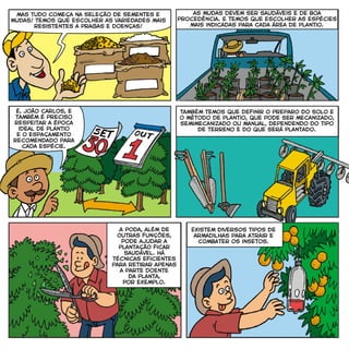 mas tudo começa na seleção de sementes e
mudas! temos que escolher as variedades mais
resistentes a pragas e doenças!
as mudas devem ser saudáveis e de boa
procedência. e temos que escolher as espécies
mais indicadas para cada área de plantio.
é, joão carlos, e
também é preciso
respeitar a época
ideal de plantio
e o espaçamento
recomendado para
cada espécie.
Também temos que definir o preparo do solo e
o método de plantio, que pode ser mecanizado,
semimecanizado ou manual, dependendo do tipo
de terreno e do que será plantado.
Existem diversos tipos de
armadilhas para atrair e
combater os insetos.
A poda, além de
outras funções,
pode ajudar a
plantação ficar
saudável. há
técnicas eficientes
para retirar apenas
a parte doente
da planta,
por exemplo.
 