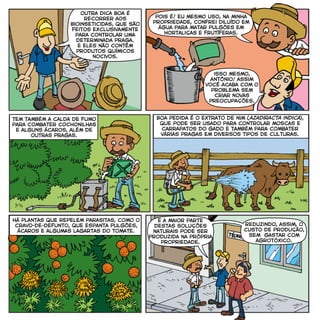 Boa pedida é o extrato de nim (azadiracta indica),
que pode ser usado para controlar moscas e
carrapatos do gado e também para combater
várias pragas em diversos tipos de culturas.
outra dica boa é
recorrer aos
bioinseticidas, que são
feitos exclusivamente
para controlar uma
determinada praga.
e eles não contêm
produtos químicos
nocivos.
pois é! eu mesmo uso, na minha
propriedade, confrei diluído em
água para matar pulgões em
hortaliças e frutíferas.
isso mesmo,
antônio! assim
você acaba com o
problema sem
criar novas
preocupações.
tem também a calda de fumo
para combater cochonilhas
e alguns ácaros, além de
outras pragas.
E a maior parte
destas soluções
naturais pode ser
produzida na própria
propriedade.
reduzindo, assim, o
custo de produção,
sem gastar com
agrotóxico.
há plantas que repelem parasitas, como o
cravo-de-defunto, que espanta pulgões,
ácaros e algumas lagartas do tomate.
azadiracta indica
 