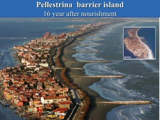 Pellestrina barrier island
16 year after nourishment
 