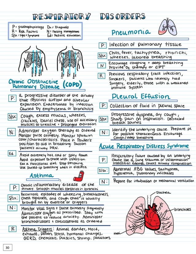 nclex-nurse-bundle-2-pdf