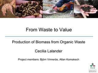 Production of Biomass from Organic Waste
Cecilia Lalander
Project members: Björn Vinnerås, Allan Komakech
From Waste to Value
 