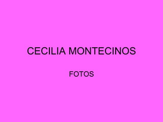 CECILIA MONTECINOS FOTOS 