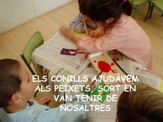 ELS CONILLS AJUDÀVEM ALS PEIXETS, SORT EN VAN TENIR DE NOSALTRES 