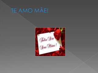 Cecilia colpo de oliveira