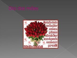 Cecilia colpo de oliveira