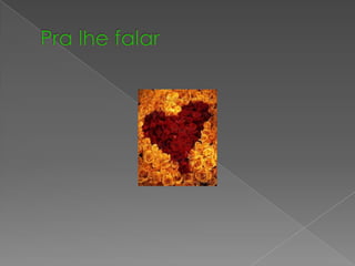 Cecilia colpo de oliveira