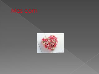 Cecilia colpo de oliveira