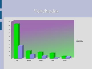 VertebradosVertebrados
Aves Mamíferos Reptiles Peces Anfibios
0
50
100
150
200
250
300
350
400
450
500
Conocidas
Amenazadas
 