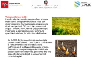 Vediamo i terreni fertili:
Il suolo è fertile quando presenta flora e fauna
molto varie, biologicamente attive cioè con
decomposizione (humus) grazie alla presenza
di microorganismi. Ciò vuol dire presenza di
acqua ( torrenti, fiumi, falde e precipitazioni).E'
importante la composizione del terreno, la
quantità di eliofania, la latitudine e l'altitudine.
La fertilità del terreno dipende anche dalla
presenza dell' uomo. I campi per la coltivazione
e l'allevamento sono resi fertili anche
dall'impiego di fertilizzanti biologici o chimici.
Soprattutto per quanto riguarda l'aridità e la
degradazione di un terreno, possiamo dire che
sono strettamente legati a comportamenti
umani sbagliati.
 