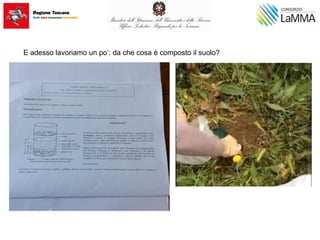 E adesso lavoriamo un po’: da che cosa è composto il suolo?
 