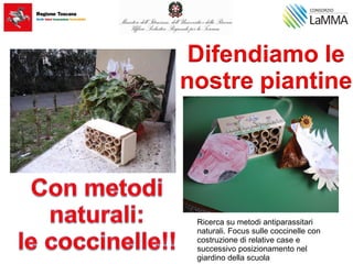Ricerca su metodi antiparassitari
naturali. Focus sulle coccinelle con
costruzione di relative case e
successivo posizionamento nel
giardino della scuola
 