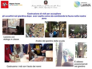 Lezione con
etologo in classe
Analisi del giardino della scuola
Costruiamo i nidi con l’aiuto dei nonni
E adesso
posizioniamoli
nel giardino
 