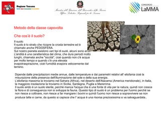 Il suolo
Il suolo è lo strato che ricopre la crosta terrestre ed è
chiamato anche PEDOSFERA.
Sul nostro pianeta esistono vari tipi di suoli, alcuni sono aridi.
L'aridità è una caratteristica del clima, che dura periodi molto
lunghi, chiamata anche "siccità", cioè quando non c'è acqua
per molto tempo e quando c'è una elevata
evapotraspirazione, cioè l'umidità evapora velocemente dal
terreno.
Dipende dalle precipitazioni medie annue, dalle temperature e dai parametri relativi all' eliofania cioè la
misurazione della presenza dell'illuminazione del sole e della sua energia.
L'eliofania massima la troviamo nel Sahara (Africa), nel deserto dell'Atacama (America meridionale), in Italia,
la maggiore insolazione la troviamo in Sicilia, Sardegna, Puglia e Maremma.
Il suolo arido è un suolo sterile, perchè manca l'acqua che è una fonte di vita per la natura, quindi non cresce
la flora e di conseguenza non si sviluppa la fauna. Questo tipo di suolo è un problema per l'uomo perchè se
non riesce a coltivare, non riesce a far mangiare i bovini e quindi l'uomo non riesce a sopravvivere se non
produce latte e carne, da questo si capisce che l' acqua è una risorsa preziosissima e va salvaguardata.
Metodo della classe capovolta
Che cos’è il suolo?
 
