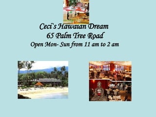 Ceci`s Hawaian Dream  65 Palm Tree Road Open Mon- Sun from 11 am to 2 am 