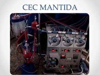 CEC MANTIDA
 