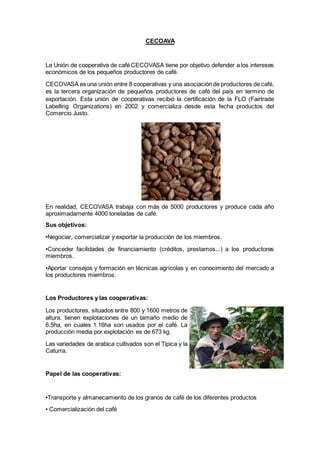 CECOAVA
La Unión de cooperativa de café CECOVASA tiene por objetivo defender a los intereses
económicos de los pequeños productores de café.
CECOVASA es una unión entre 8 cooperativas y una asociación de productores de café,
es la tercera organización de pequeños productores de café del país en termino de
exportación. Esta unión de cooperativas recibió la certificación de la FLO (Fairtrade
Labelling Organizations) en 2002 y comercializa desde esta fecha productos del
Comercio Justo.
En realidad, CECOVASA trabaja con más de 5000 productores y produce cada año
aproximadamente 4000 toneladas de café.
Sus objetivos:
•Negociar, comercializar y exportar la producción de los miembros.
•Conceder facilidades de financiamiento (créditos, prestamos...) a los productores
miembros.
•Aportar consejos y formación en técnicas agrícolas y en conocimiento del mercado a
los productores miembros.
Los Productores y las cooperativas:
Los productores, situados entre 800 y 1600 metros de
altura, tienen explotaciones de un tamaño medio de
6.5ha, en cuales 1.16ha son usados por el café. La
producción media por explotación es de 673 kg.
Las variedades de arabica cultivados son el Tipica y la
Caturra.
Papel de las cooperativas:
•Transporte y almanecamiento de los granos de café de los diferentes productos
• Comercialización del café
 