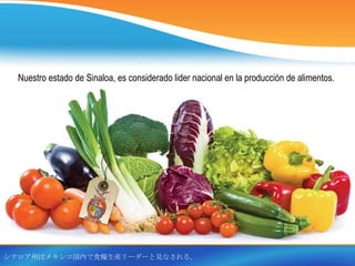 Nuestro estado de Sinaloa, es considerado lider nacional en la producción de alimentos.




シナロア州はメキシコ国内で食糧生産リーダーと見なされる。
 