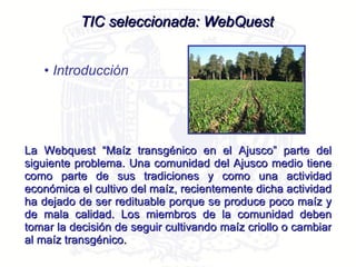 TIC seleccionada: WebQuest Introducción La Webquest “Maíz transgénico en el Ajusco” parte del siguiente problema. Una comunidad del Ajusco medio tiene como parte de sus tradiciones y como una actividad económica el cultivo del maíz, recientemente dicha actividad ha dejado de ser redituable porque se produce poco maíz y de mala calidad. Los miembros de la comunidad deben tomar la decisión de seguir cultivando maíz criollo o cambiar al maíz transgénico.  