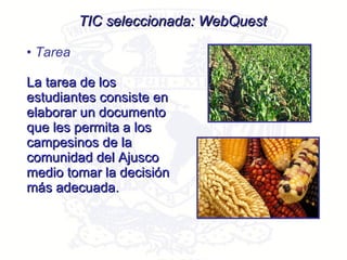 TIC seleccionada: WebQuest Tarea La tarea de los estudiantes consiste en elaborar un documento que les permita a los campesinos de la comunidad del Ajusco medio tomar la decisión más adecuada.  