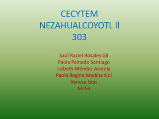 CECYTEM 
NEZAHUALCOYOTL ll 
303 
Saúl Raziel Rosales Gil 
Paola Peinado Santiago 
Lizbeth Méndez Arreola 
Paola Regina Medina Nol 
Vanesa Islas 
M2S3 
 