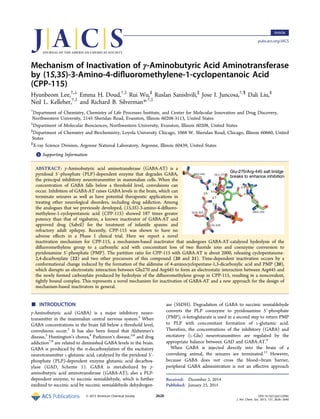 Mechanism of Inactivation of γ‑Aminobutyric Acid Aminotransferase
by (1S,3S)‑3-Amino-4-diﬂuoromethylene-1-cyclopentanoic Acid
(CPP-115)
Hyunbeom Lee,†,⊥
Emma H. Doud,†,‡
Rui Wu,§
Ruslan Sanishvili,∥
Jose I. Juncosa,†,¶
Dali Liu,§
Neil L. Kelleher,†,‡
and Richard B. Silverman*,†,‡
†
Department of Chemistry, Chemistry of Life Processes Institute, and Center for Molecular Innovation and Drug Discovery,
Northwestern University, 2145 Sheridan Road, Evanston, Illinois 60208-3113, United States
‡
Department of Molecular Biosciences, Northwestern University, Evanston, Illinois 60208, United States
§
Department of Chemistry and Biochemistry, Loyola University Chicago, 1068 W. Sheridan Road, Chicago, Illinois 60660, United
States
∥
X-ray Science Division, Argonne National Laboratory, Argonne, Illinois 60439, United States
*S Supporting Information
ABSTRACT: γ-Aminobutyric acid aminotransferase (GABA-AT) is a
pyridoxal 5′-phosphate (PLP)-dependent enzyme that degrades GABA,
the principal inhibitory neurotransmitter in mammalian cells. When the
concentration of GABA falls below a threshold level, convulsions can
occur. Inhibition of GABA-AT raises GABA levels in the brain, which can
terminate seizures as well as have potential therapeutic applications in
treating other neurological disorders, including drug addiction. Among
the analogues that we previously developed, (1S,3S)-3-amino-4-diﬂuoro-
methylene-1-cyclopentanoic acid (CPP-115) showed 187 times greater
potency than that of vigabatrin, a known inactivator of GABA-AT and
approved drug (Sabril) for the treatment of infantile spasms and
refractory adult epilepsy. Recently, CPP-115 was shown to have no
adverse eﬀects in a Phase I clinical trial. Here we report a novel
inactivation mechanism for CPP-115, a mechanism-based inactivator that undergoes GABA-AT-catalyzed hydrolysis of the
diﬂuoromethylene group to a carboxylic acid with concomitant loss of two ﬂuoride ions and coenzyme conversion to
pyridoxamine 5′-phosphate (PMP). The partition ratio for CPP-115 with GABA-AT is about 2000, releasing cyclopentanone-
2,4-dicarboxylate (22) and two other precursors of this compound (20 and 21). Time-dependent inactivation occurs by a
conformational change induced by the formation of the aldimine of 4-aminocyclopentane-1,3-dicarboxylic acid and PMP (20),
which disrupts an electrostatic interaction between Glu270 and Arg445 to form an electrostatic interaction between Arg445 and
the newly formed carboxylate produced by hydrolysis of the diﬂuoromethylene group in CPP-115, resulting in a noncovalent,
tightly bound complex. This represents a novel mechanism for inactivation of GABA-AT and a new approach for the design of
mechanism-based inactivators in general.
■ INTRODUCTION
γ-Aminobutyric acid (GABA) is a major inhibitory neuro-
transmitter in the mammalian central nervous system.1
When
GABA concentrations in the brain fall below a threshold level,
convulsions occur.2
It has also been found that Alzheimer’s
disease,3
Huntington’s chorea,4
Parkinson’s disease,5,6
and drug
addiction7,8
are related to diminished GABA levels in the brain.
GABA is produced by the α-decarboxylation of the excitatory
neurotransmitter L-glutamic acid, catalyzed by the pyridoxal 5′-
phosphate (PLP)-dependent enzyme glutamic acid decarbox-
ylase (GAD, Scheme 1). GABA is metabolized by γ-
aminobutyric acid aminotransferase (GABA-AT), also a PLP-
dependent enzyme, to succinic semialdehyde, which is further
oxidized to succinic acid by succinic semialdehyde dehydrogen-
ase (SSDH). Degradation of GABA to succinic semialdehyde
converts the PLP coenzyme to pyridoxamine 5′-phosphate
(PMP); α-ketoglutarate is used in a second step to return PMP
to PLP with concomitant formation of L-glutamic acid.
Therefore, the concentrations of the inhibitory (GABA) and
excitatory (L-Glu) neurotransmitters are regulated by the
appropriate balance between GAD and GABA-AT.9
When GABA is injected directly into the brain of a
convulsing animal, the seizures are terminated.11
However,
because GABA does not cross the blood−brain barrier,
peripheral GABA administration is not an eﬀective approach
Received: December 2, 2014
Published: January 23, 2015
Article
pubs.acs.org/JACS
© 2015 American Chemical Society 2628 DOI: 10.1021/ja512299n
J. Am. Chem. Soc. 2015, 137, 2628−2640
 