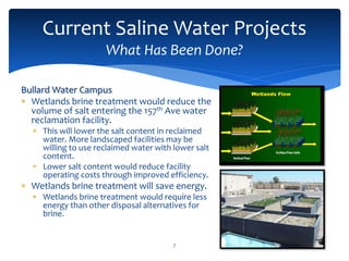 Current Saline Water Projects
What Has Been Done?
7
Bullard Water Campus
 Wetlands brine treatment would reduce the
volume of salt entering the 157th Ave water
reclamation facility.
 This will lower the salt content in reclaimed
water. More landscaped facilities may be
willing to use reclaimed water with lower salt
content.
 Lower salt content would reduce facility
operating costs through improved efficiency.
 Wetlands brine treatment will save energy.
 Wetlands brine treatment would require less
energy than other disposal alternatives for
brine.
 