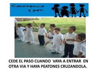 CEDE EL PASO CUANDO  VAYA A ENTRAR  EN OTRA VIA Y HAYA PEATONES CRUZANDOLA.