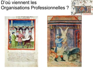 D’où viennent les Organisations Professionnelles ? 