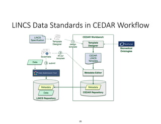 Cedar Overview | PDF