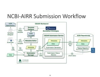 NCBI-AIRR Submission Workflow
19
 