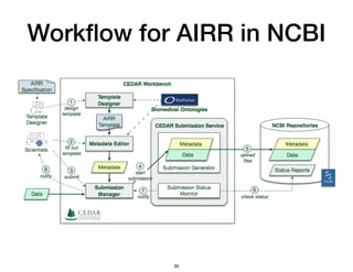 Workﬂow for AIRR in NCBI
35
 
