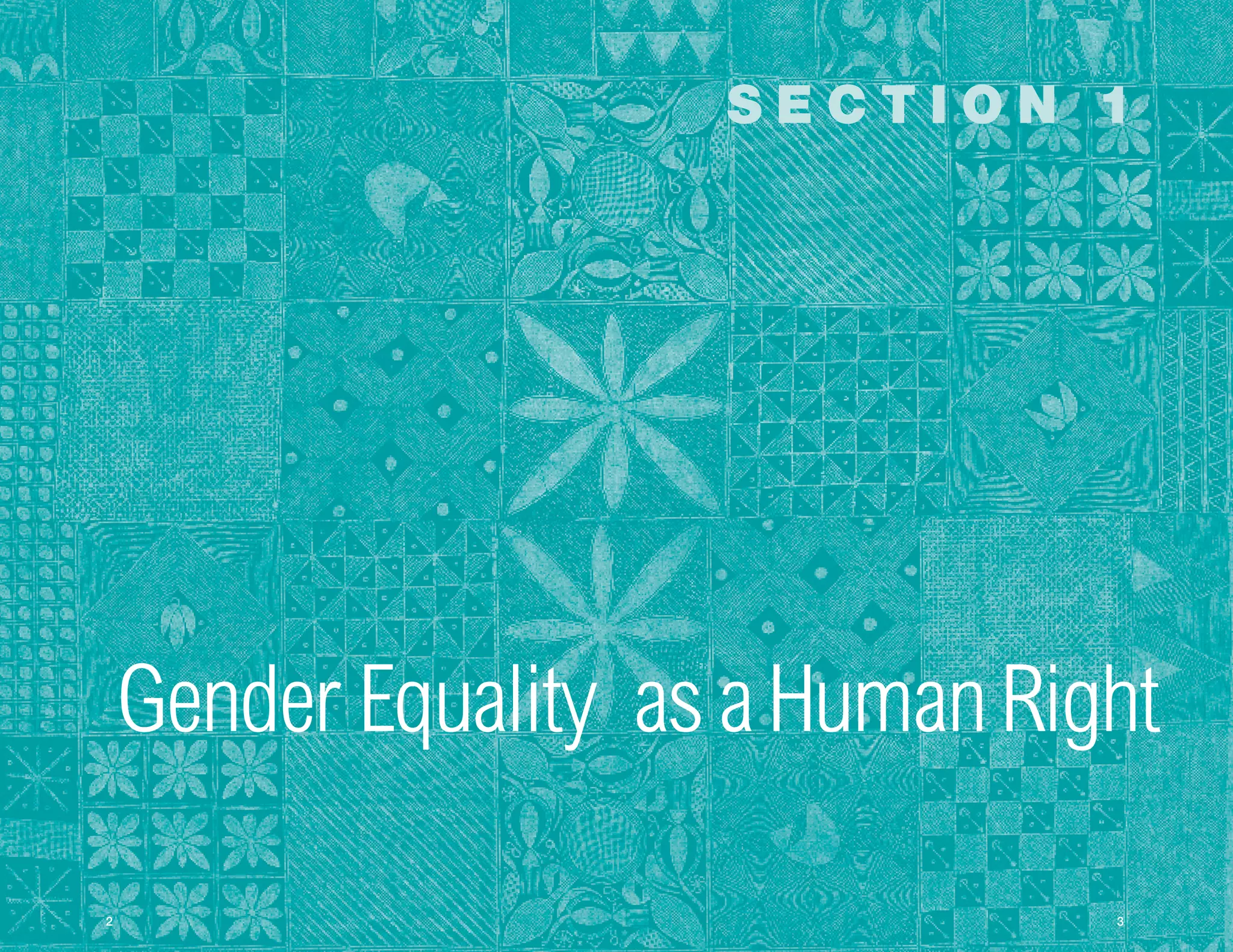 SECTION 1




    Gender Equality as a Human Right

2
                                 3
                                  
 