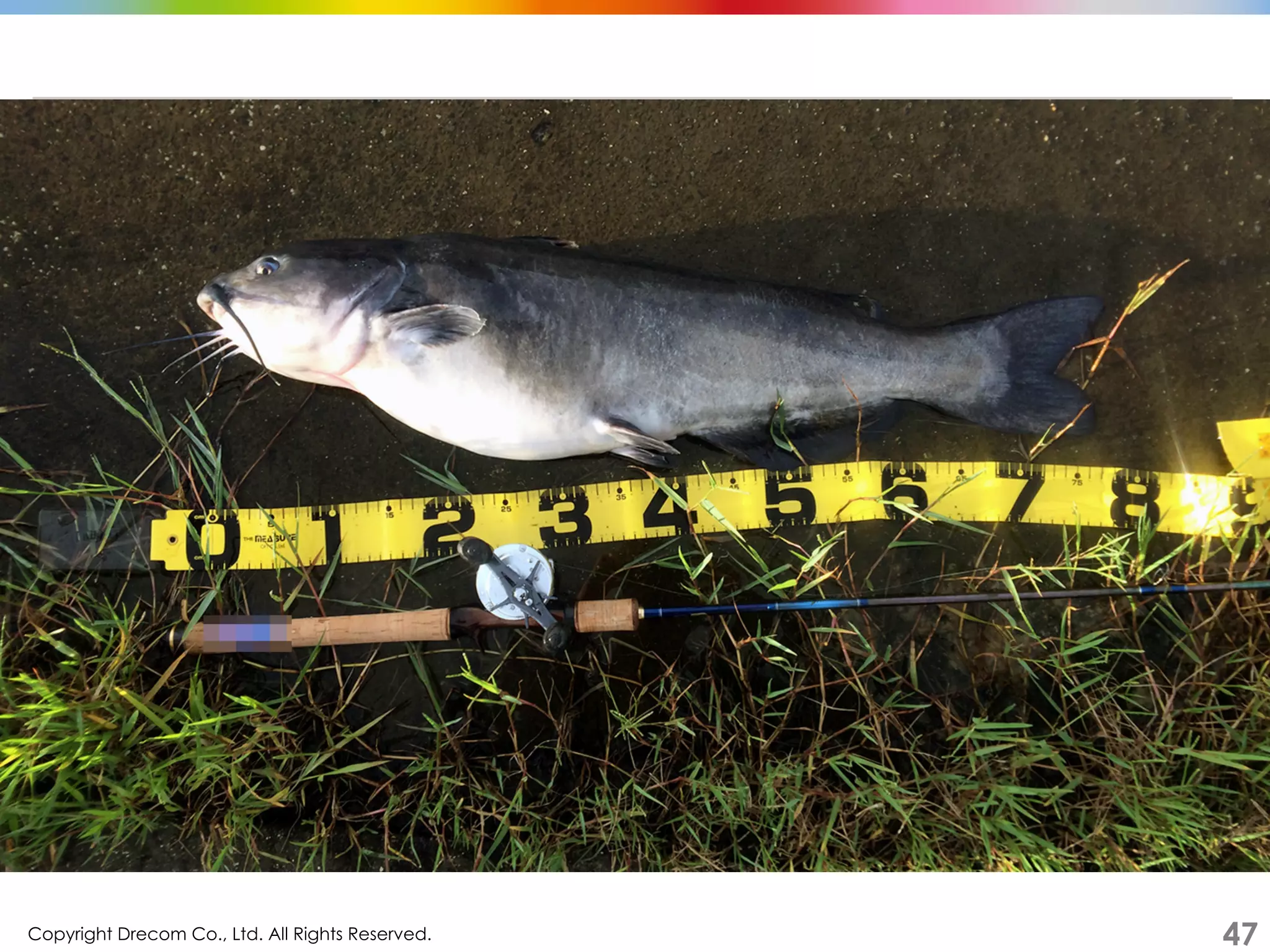 Copyright Drecom Co., Ltd. All Rights Reserved.	
 47
 