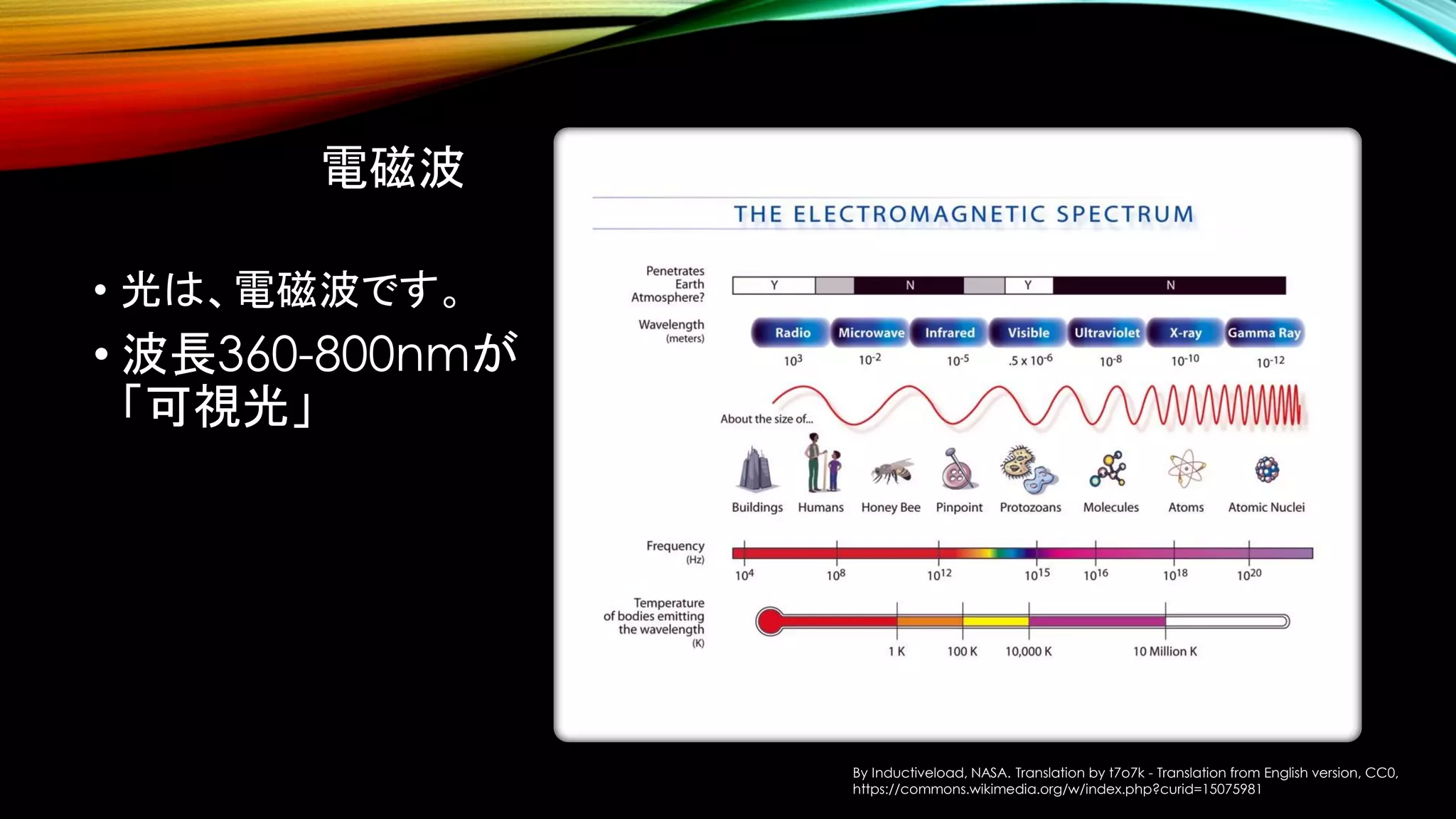 電磁波
• 光は、電磁波です。
• 波長360-800nmが
「可視光」
By Inductiveload, NASA. Translation by t7o7k - Translation from English version, CC0,
https://commons.wikimedia.org/w/index.php?curid=15075981
 