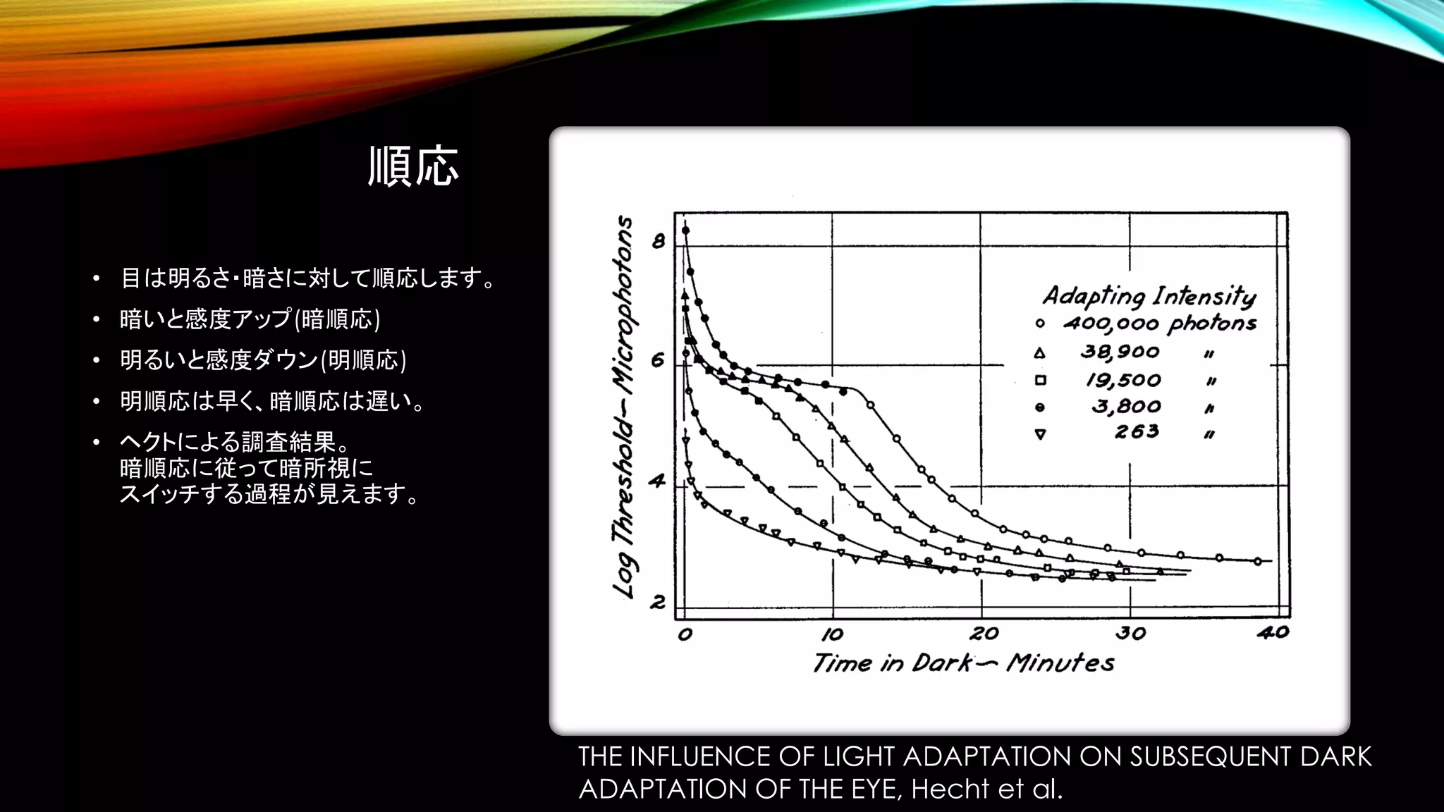 順応
• 目は明るさ・暗さに対して順応します。
• 暗いと感度アップ(暗順応)
• 明るいと感度ダウン(明順応)
• 明順応は早く、暗順応は遅い。
• ヘクトによる調査結果。
暗順応に従って暗所視に
スイッチする過程が見えます。
THE INFLUENCE OF LIGHT ADAPTATION ON SUBSEQUENT DARK
ADAPTATION OF THE EYE, Hecht et al.
 