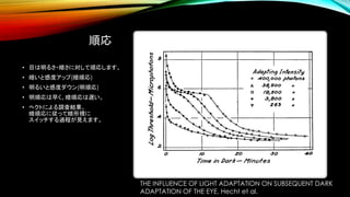 順応
• 目は明るさ・暗さに対して順応します。
• 暗いと感度アップ(暗順応)
• 明るいと感度ダウン(明順応)
• 明順応は早く、暗順応は遅い。
• ヘクトによる調査結果。
暗順応に従って暗所視に
スイッチする過程が見えます。
THE INFLUENCE OF LIGHT ADAPTATION ON SUBSEQUENT DARK
ADAPTATION OF THE EYE, Hecht et al.
 