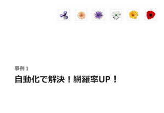 自動化で解決！網羅率UP！ 
事例１  