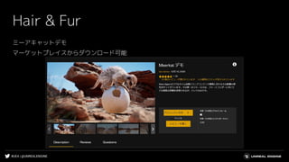 #UE4 | @UNREALENGINE
ミーアキャットデモ
マーケットプレイスからダウンロード可能
Hair & Fur
 