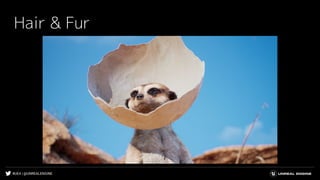 #UE4 | @UNREALENGINE
Hair & Fur
 