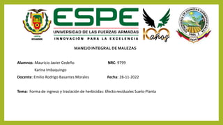 MANEJO INTEGRAL DE MALEZAS
Alumnos: Mauricio Javier Cedeño NRC: 9799
Karina Imbaquingo
Docente: Emilio Rodrigo Basantes Morales Fecha: 28-11-2022
Tema: Forma de ingreso y traslación de herbicidas: Efecto residuales Suelo-Planta
 