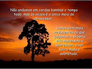 Não andamos em cordas bambas o tempo todo, mas às vezes é o único meio de atravessar.  Somos bem mais resistentes do que julgamos; a própria vida nos ensina a sobreviver, viver sobre tudo e sobretudo.  
