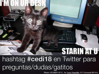 hashtag #cedi18 en Twitter para
preguntas/dudas/gatitos
Photo: STARIN AT U, by Luca Vanzella. CC-Licensed BY-SA.
 