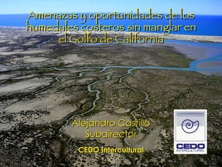 Amenazas y oportunidades de los humedales costeros sin manglar en el Golfo de California Alejandro Castillo Subdirector CEDO Intercultural 