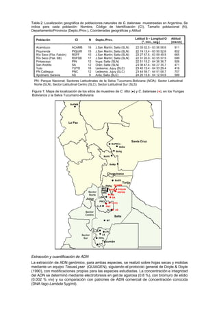 Tabla 2: Localización geográfica de poblaciones naturales de C. balansae muestreadas en Argentina. Se
indica para cada población: Nombre, Código de Identificación (CI), Tamaño poblacional (N),
Departamento/Provincia (Depto./Prov.), Coordenadas geográficas y Altitud
Extracción y cuantificación de ADN
La extracción de ADN genómico, para ambas especies, se realizó sobre hojas secas y molidas
mediante un equipo TissueLyser (QUIAGEN), siguiendo el protocolo general de Doyle & Doyle
(1990), con modificaciones propias para las especies estudiadas. La concentración e integridad
del ADN se determinó mediante electroforesis en gel de agarosa (0.8 %), con bromuro de etidio
(0.002 % v/v) y su comparación con patrones de ADN comercial de concentración conocida
(DNA fago Lambda 5μg/ml).
Población CI N Depto./Prov. Latitud S – Longitud O
(°, min., seg.)
Altitud
(msnm)
Acambuco ACAMB 16 J.San Martín; Salta (SLN) 22 05 02.5 - 63 56 08.6 911
Piquirenda PIQUIR 15 J.San Martín; Salta (SLN) 22 19 13.4 - 63 50 52.6 852
Río Seco (Flia. Falcón) RSFF 10 J.San Martín; Salta (SLN) 22 27 57.5 - 63 59 49.5 665
Río Seco (Ftal. SB) RSFSB 17 J.San Martín; Salta (SLN) 22 31 20.0 - 63 55 57.5 699
Pintascayo PIN 12 Iruya; Salta (SLN) 22 51 15.2 - 64 36 36.7 926
San Andrés SA 12 Orán; Salta (SLN) 23 06 47.4 - 64 27 35.7 471
Yuto YUTO 16 Ledesma; Jujuy (SLC) 23 40 15.4 - 64 33 29.4 416
PN Calilegua PNC 12 Ledesma; Jujuy (SLC) 23 44 59.7 - 64 51 08.7 707
Apolinario Saravia AS 9 Anta; Salta (SLC) 24 20 15.8 - 64 12 04.9 589
LSA
AL
La Paz
Chuquisaca
Tarija
Santa Cruz
Salta
Jujuy
Tucumán
BoPNCo
BoSa
BoVg
BoVS
BoER
BoMp
BoPNM
ACAMB
PIQUIRRSFF
RSFSB
PIN
SA
YUTO
PNC
AS
LSu
ARD
RNNg
PNB
3RD
PNCL
LLR
MT
LCh
LS
PPFL
LPi
Sector
Sur
Sector
Centro
Sector
Norte
PN: Parque Nacional; Sectores Latitudinales de la Selva Tucumano-Boliviana (NOA): Sector Latitudinal
Norte (SLN), Sector Latitudinal Centro (SLC), Sector Latitudinal Sur (SLS)
Figura 1: Mapa de localización de los sitios de muestreo de C. lilloi (●) y C. balansae (●), en los Yungas
Bolivianos y la Selva Tucumano-Boliviana
 