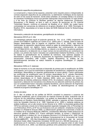 Delimitación específica de poblaciones
La conservación y mejora de las especies, presentan como requisito previo e indispensable, la
correcta asignación específica de sus poblaciones. La delimitación morfológica de las especies
de cedro en las zonas de transición, donde estas cohabitan, es compleja debido a la ausencia
de caracteres morfológicos únicos que permitan distinguirlas inequívocamente. En este sentido,
y a los fines de confirmar la identidad genética de algunas poblaciones (Pintascayo,
Muyupampa y PN Madidi), se llevó a cabo un estudio de secuencias de ITS (Internal
Transcribed Spacer), conforme el protocolo de Muellner et al., (2009), las cuales fueron
contrastadas con secuencias de referencia en el género (Muellner et al., 2009; Pennington &
Muellner 2010), depositadas en la base de datos del NCBI (National Center for Biotechnology
Information).
Generación y selección de marcadores, genotipificación de individuos
Marcadores fAFLPs en C. lilloi
La metodología aplicada siguió el protocolo general de Vos et al., (1995), empleando los
primers Eco+2/Mse+4 sugeridos por Cavers et al., (2003) para C. odorata. Sobre la base de
trabajos desarrollados para la especie en Argentina (Inza et al., 2009), bajo técnicas
tradicionales de separación (electroforesis vertical en geles de poliacrilamida) y detección de
marcadores (tinción con AgNO3), fueron seleccionadas dos combinaciones de primers
(Eco+AT/Mse+ACCA y Eco+AC/Mse+AACA), en relación a la definición de patrones genéticos
de alta resolución y la detección de un mayor número de loci polimórficos por combinación de
primers. Los primers Eco fueron marcados con posterioridad mediante fluoróforos, a los fines
de realizar la genotipificación de la totalidad de individuos, bajo sistemas basados en
electroforesis capilar y la detección fluorescente de fragmentos amplificados (fAFLPs), en
secuenciador automático (ABI 3130XL, Applied Biosystems). El análisis de los
electroferogramas derivados se realizó mediante el programa GeneMapper 3.7 (Applied
Biosystems).
Marcadores SSRs en C. balansae
Hasta el momento no ha sido descripto el desarrollo de primers para la amplificación de SSRs
en la especie, por lo que fue examinada la capacidad de transferencia y adaptación de primers
heterólogos, desarrollados en especies pertenecientes al mismo género. Fueron optimizadas
las condiciones de amplificación para 23 primers desarrollados en C. odorata (Hernández
Sánchez 2008; Hernández Sánchez et al., 2008; Hernández Sánchez 2009 com. pers.) y 3
primers desarrollados en C. fissilis (Gandara 2009), sobre una muestra de individuos
provenientes de distintas poblaciones (Soldati 2010). Se emplearon sistemas tradicionales de
separación y detección de marcadores a los efectos de una selección preliminar de primers, los
que con posterioridad fueron marcados mediante fluoróforos, para la detección de fragmentos
en secuenciador automático (ABI 3130XL). El análisis de electroferogramas se realizó
mediante el programa GeneMapper 4.0
Análisis de datos
En C. lilloi, el análisis de los perfiles de fAFLPs consideró la presencia o ausencia del
fragmento amplificado, para la construcción de matrices binarias de datos, evaluando solo el
conjunto de loci polimórficos detectados. Los análisis se desarrollaron bajo el supuesto de
poblaciones en Equilibrio Hardy-Weinberg (EHW), aplicable a especies de libre cruzamiento
como las forestales (Hamrick et al., 1992; Vekemans et al., 2002) y mediante sistemas de
análisis multilocus, con un alto número de loci (Kremer et al., 2005). La diversidad genética (Nei
1973) fue estimada a través de la Heterocigosidad esperada insesgada (He), el Porcentaje de
Loci Polimorficos (PLP) y el Nº de Loci Exclusivos (LE) por población, empleando el programa
GenAlex 6.3 (Peakall & Smouse 2006). La diferenciación genética fue examinada a través de
un Análisis de la Varianza Molecular (AMOVA), considerando diferentes niveles jerárquicos de
estructura genética (GeAlex 6.3). Fueron estimados también, el número y distribución de
grupos genéticos o clusters (K), con el programa Structure 2.3.3 (Pritchard et al., 2000; Falush
et al., 2007) a través del Servicio de Biología Computacional de la Universidad de Cornell
(Structure@BioHPC, URL:http://cbsuapps.tc.cornell.edu/structure.aspx), bajo las opciones
Admixture model, Allele Frequencies Correlated, 50.000 (burn-in) y 500.000 iteraciones, en 10
repeticiones por K. Asimismo, fue aplicado como parámetro de segundo orden el valor modal
de ΔK (Evanno et al., 2005). Las distancias genéticas entre poblaciones fueron estimadas con
 