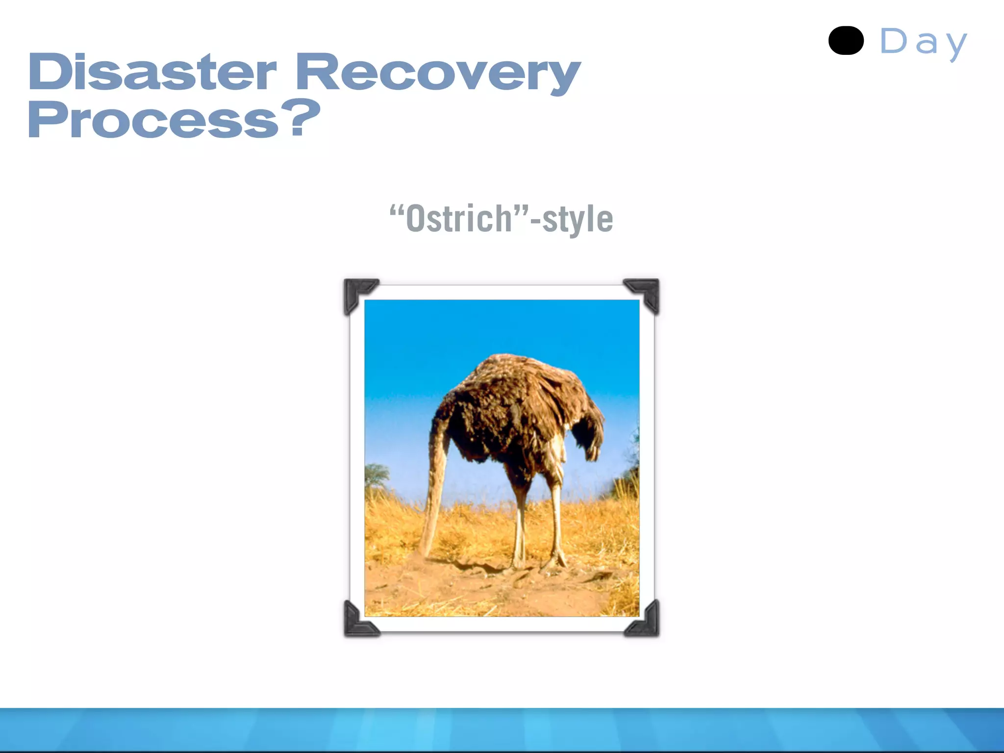 Disaster Recovery
Process?
           “Ostrich”-style
 
