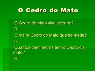 O Cedro do Mato

O Cedro do Mato vive sozinho?
R:.
O maior Cedro do Mato quanto mede?
R:.
Quantos centímetros tem o Cedro do
mato?
R:.
 