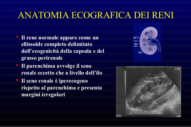 Rene Normale E Nefropatie Mediche E Chirurgiche