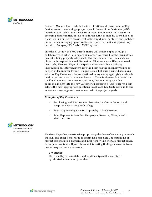 what is strategy essay environment